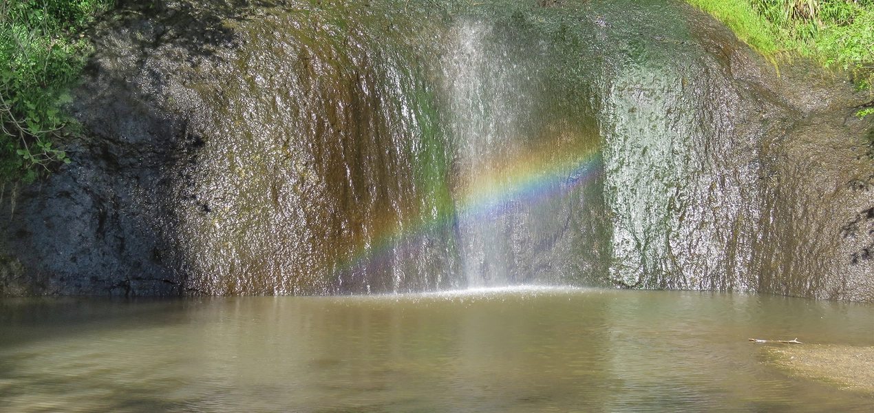 MONTI DELLA TOLFA.