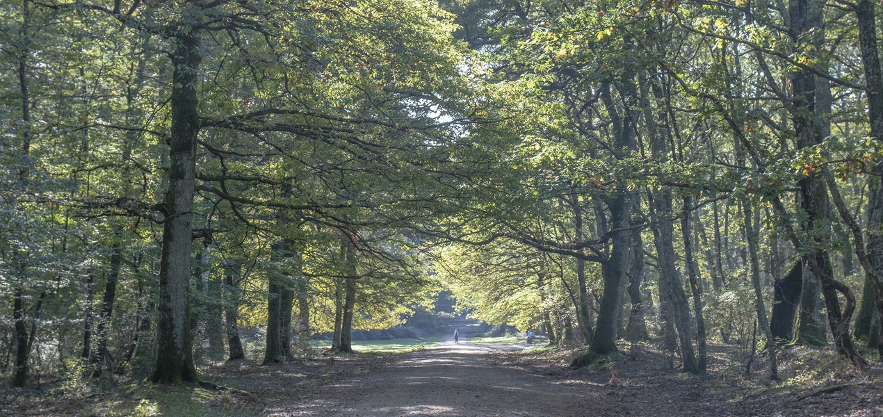 PARCO REGIONALE DI BRACCIANO - MARTIGNANO.