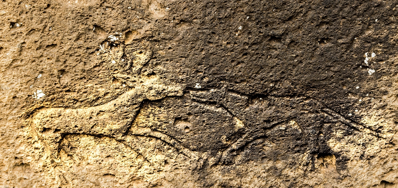 Nelle Terre dei Rasna e dei Falisci.